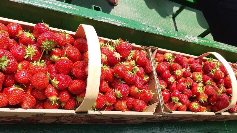 Rougemont,pommier,Potager Mont-Rouge Halte Gourmande | Verger & Boutique | Orchard & Boutique,plantation,fruits,arboriculture,poirier,arbre fruitier,jardin fruitier,pépinière,prunier,cerisier,abricotier,CanaGuide,récolte, Potager Mont-Rouge Halte Gourmande | Verger & Boutique | Orchard & Boutique - Verger à Rougemont (Quebec) | CanaGuide